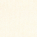 Standardimperio 901 cream